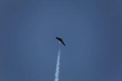 jets-warbirds-mai-2012-101