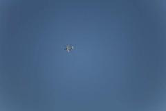 jets-warbirds-mai-2012-179
