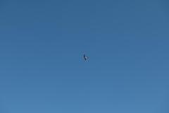 Kindertag_08_2024_34
