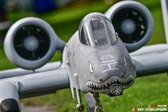 20250908-DSC_9695-Kopie