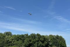 Vereinsfliegen_07_2025_AH-54