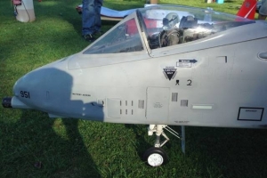 Vereinsfliegen_2015